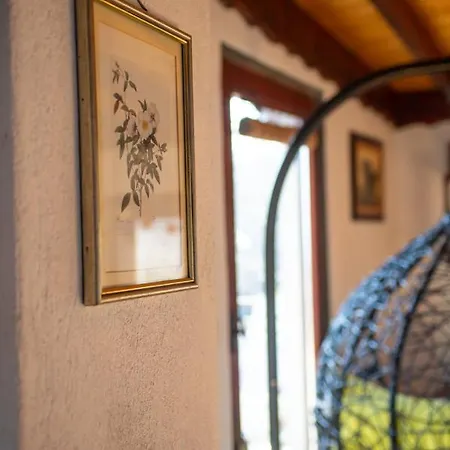 'Zhana Del Mar' Villa - Вила 